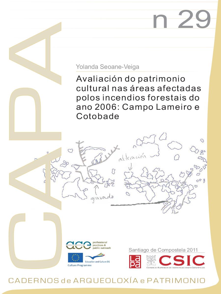 Imaxe de: Avaliación do patrimonio cultural nas áreas afectadas polos incendios forestais do ano 2006: Campo Lameiro e Cotobade