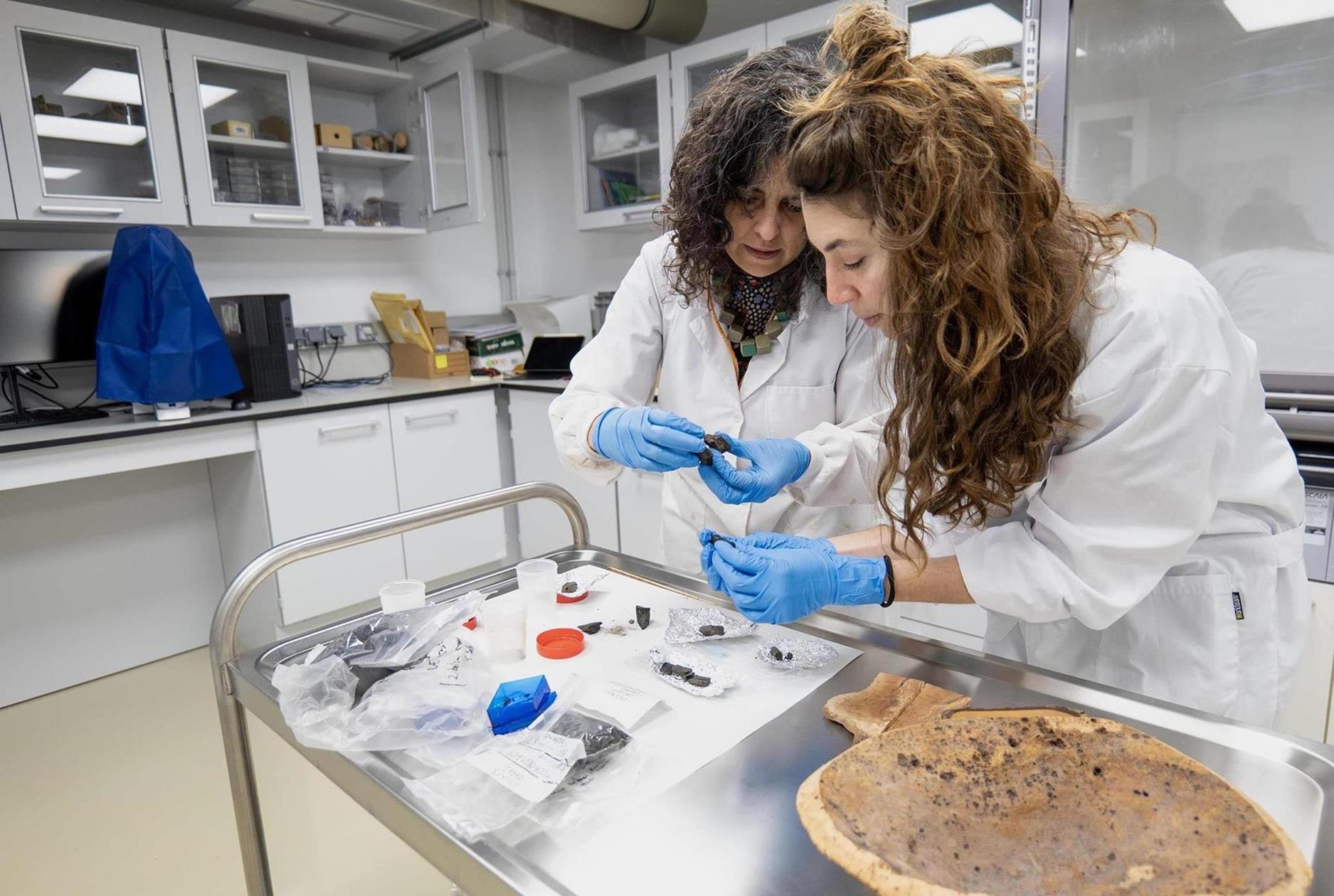 Imaxe de: El CSIC avanza en el proyecto PLANTCRAFT con la creación del Laboratorio de Arqueobotánica en Santiago