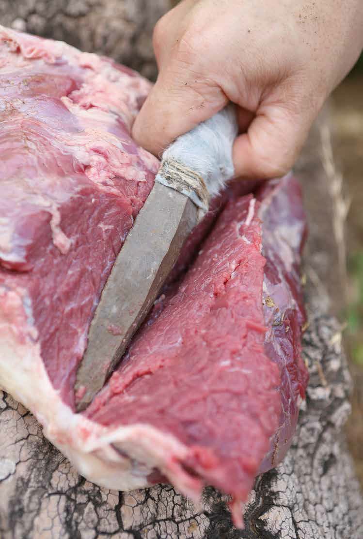 Image of: Las raíces prehistóricas de la cocina de hoy