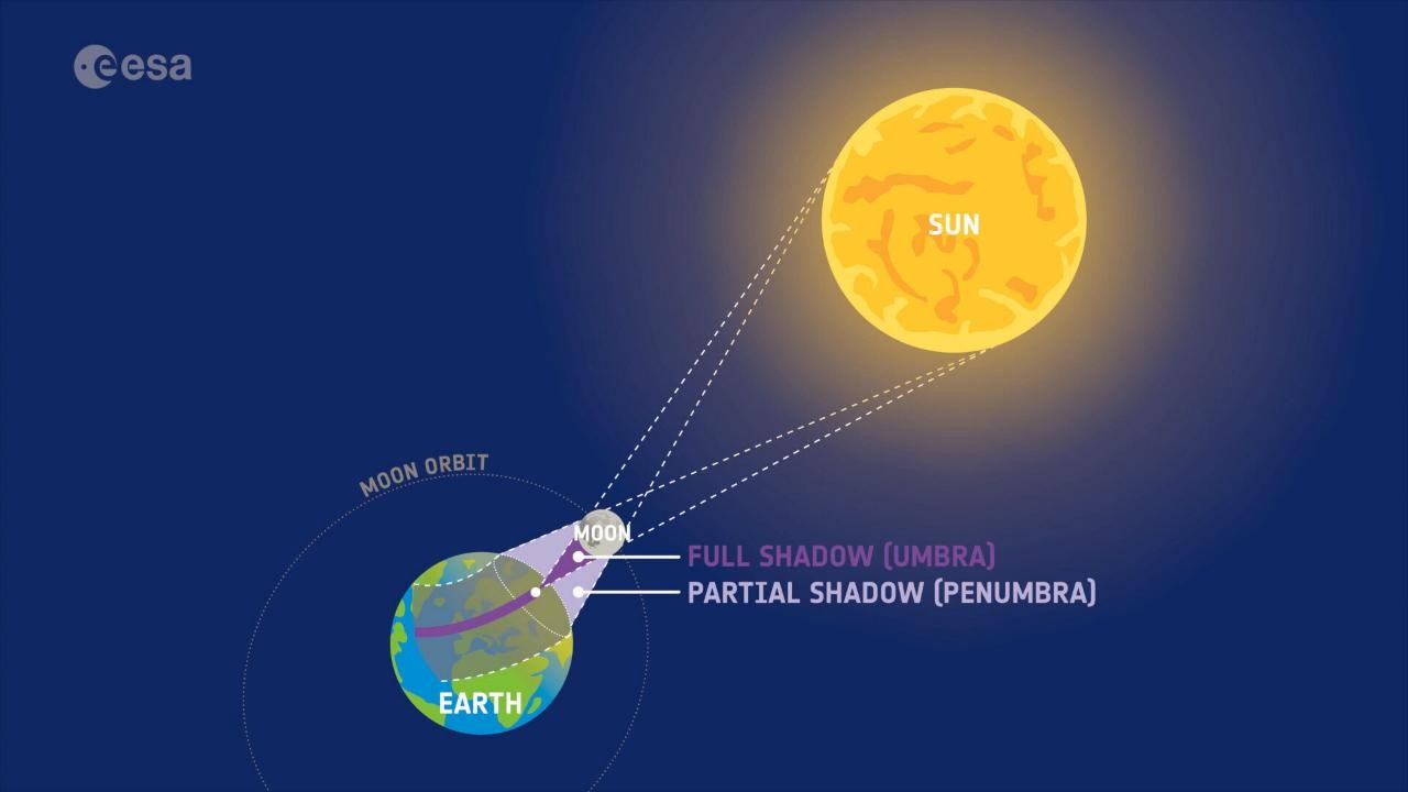 Imagen de: El eclipse del 12 de agosto: un cielo para recordar.