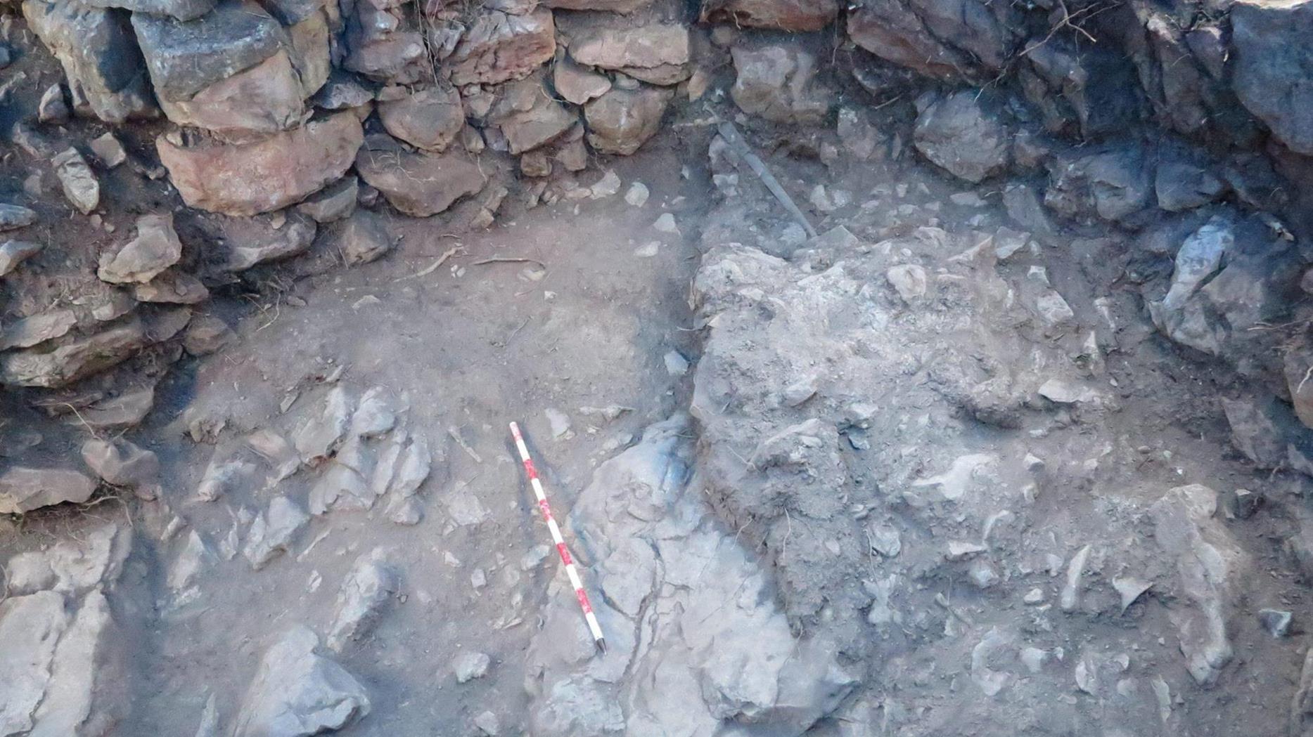 Imaxe de: Un estudio, liderado por el CSIC, arroja datos significativos sobre el hallazgo de una espada prehistórica en Mallorca