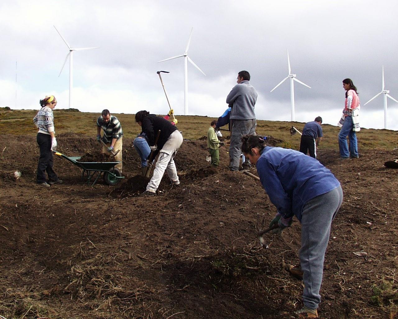 Imaxe de: Una autohistoria del INCIPIT (3)