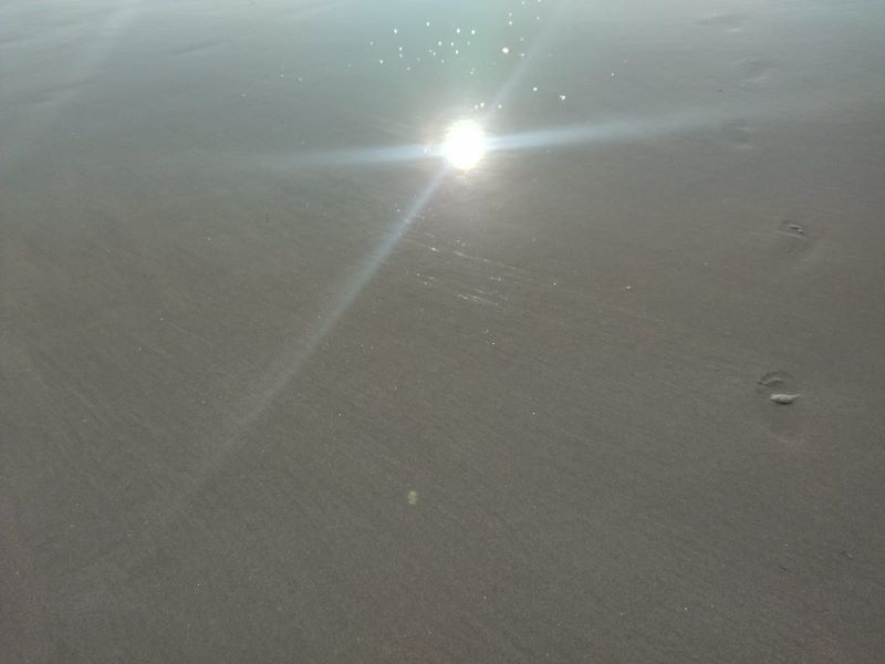 Image of: Verán silandeiro