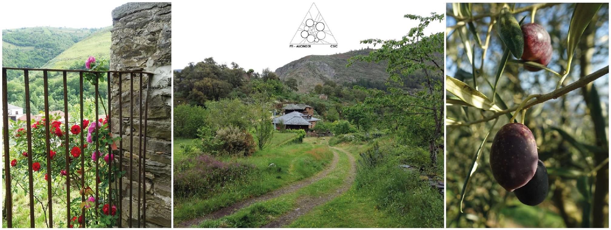 Imaxe de: ¡Contra el despoblamiento rural: utopías hechas realidad!